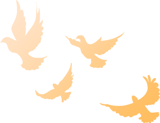 od体育投注-匈牙利代表团集体斩获佳绩，荣誉归来